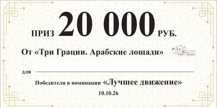 Спешим поделиться отличной новостью! Три Грации/Арабские лошади - спонсор XXI Чемпионата … — Три Грации