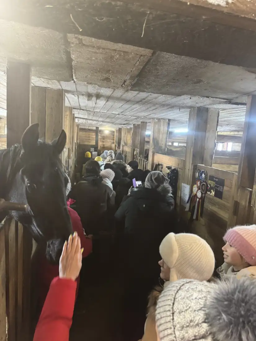 В рамках проекта в нашем клубе прошли экскурсии с мастер классом по верховой езде🐴 Проек… — Зевс