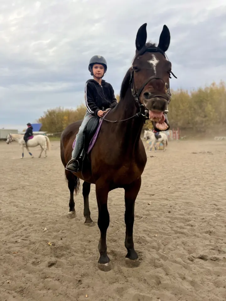 🐴 Знаете ли вы, что лошади умеют улыбаться? На самом деле, когда лошадь приподнимает вер… — Центральный