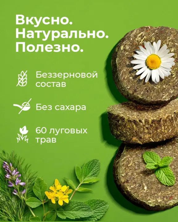 🐴 В конном мире есть особенная роскошь — время, проведённое рядом с лошадью. Не просто т… — Прованс