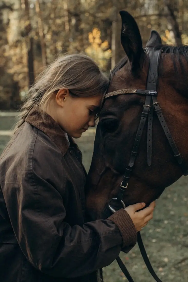 Друзья, в лесу сейчас настоящая золотая осень 🍂🐴 Самое время поймать все краски осеннег… — Радуга