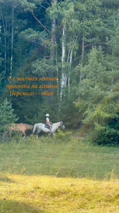 Проведи осень на Байкале в седле 🍂 🐴 Конный поход в деревню Б. Коты. Ночевка в благоуст… — Усадьба Тюрюминых