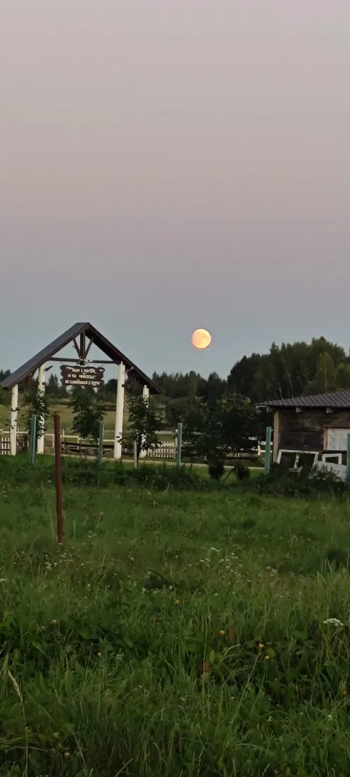 Магия вечера: наша подборка закатов из Счастья ✨ Говорят, счастье — это состояние души. … — Принц
